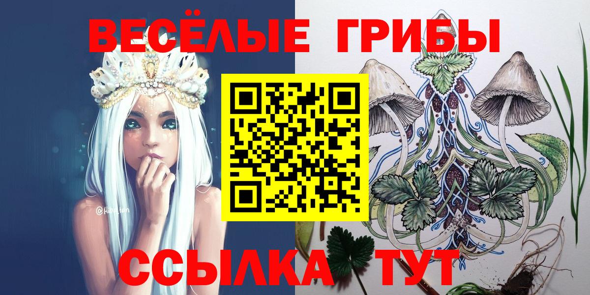Галлюциногенные грибы мухоморы Владивосток