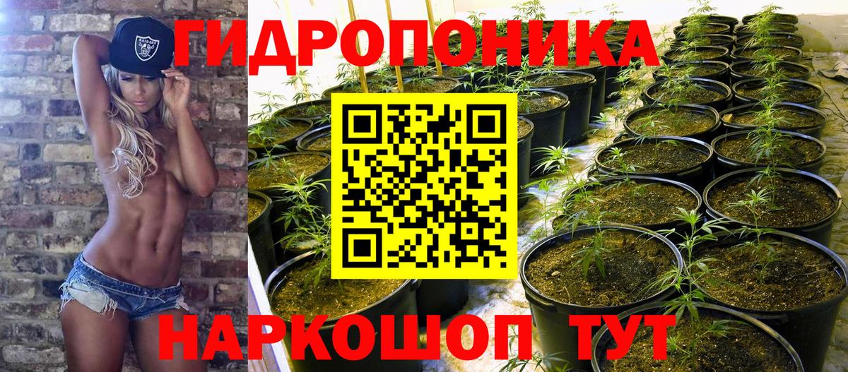 Владивосток  Каннабис гибрид  Бошки марихуана ГИДРОПОН  Шишки марихуана AK-47  Вход с VPN 